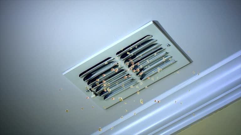 Best Affordable HVAC Duct Cleaning  in Birdsboro, PA